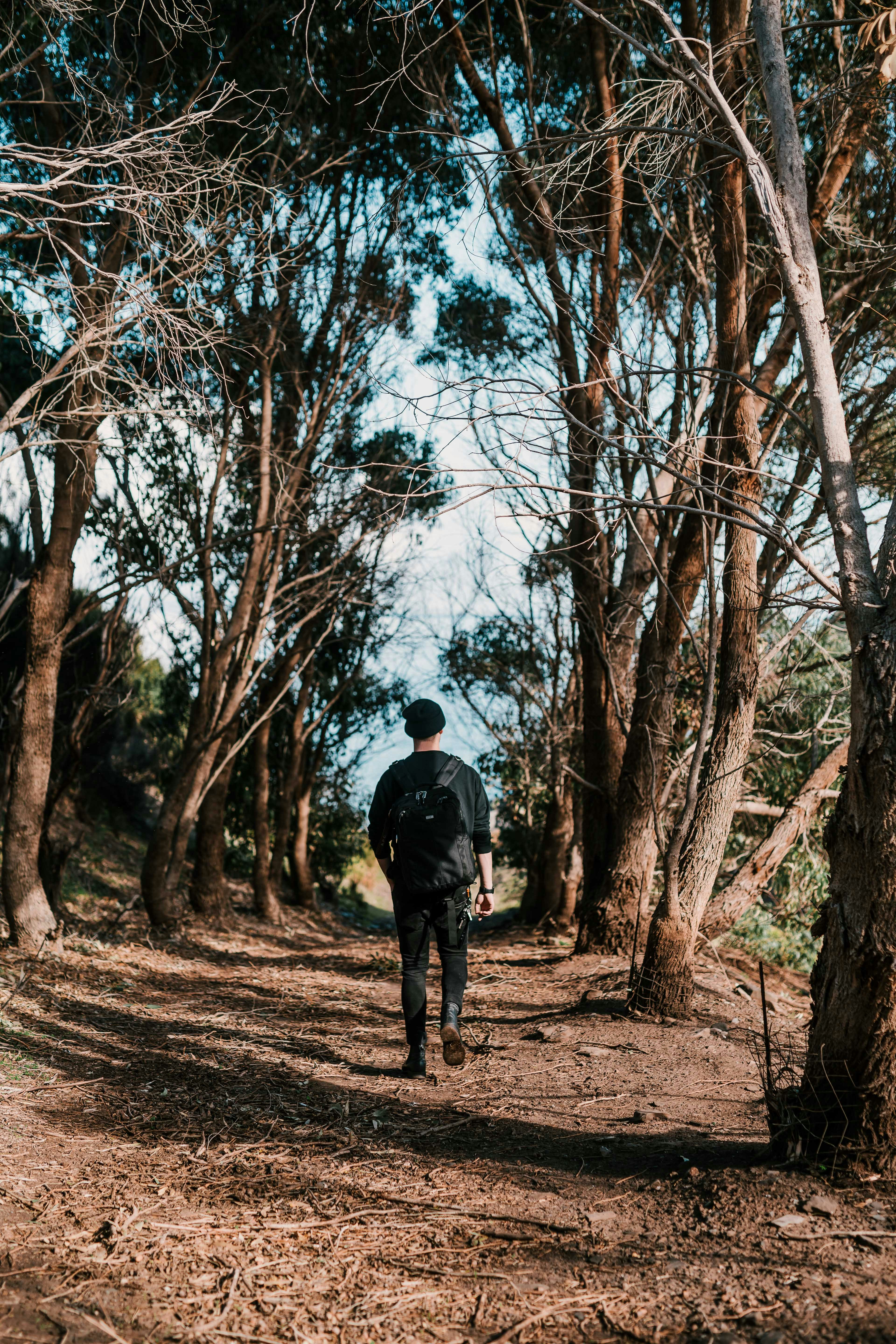 man walking in between of tall trees